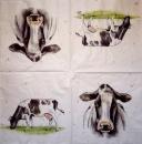 169 Cows - 3-ply - Ihr